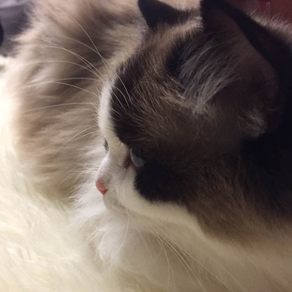 cathyz620